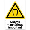 Panneau "Champ magnétique important" - PVC A5